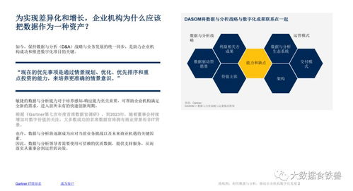 數(shù)據(jù)驅(qū)動未來 杭州軟件開發(fā)企業(yè)數(shù)字化發(fā)展路線圖